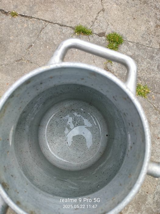 Butoi lapte 25 litri