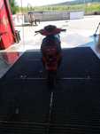Scuter suzuki katana 50cc