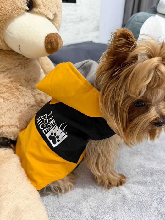 Зимни якенца за малки кучета