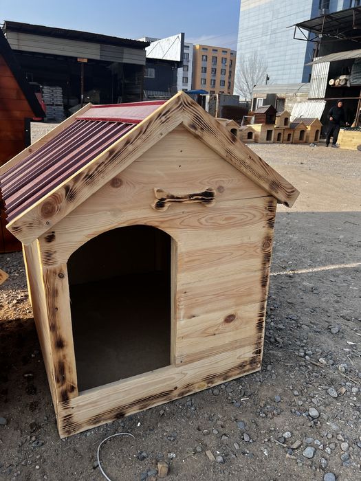 Бутки для собак разного размера с доставкой !