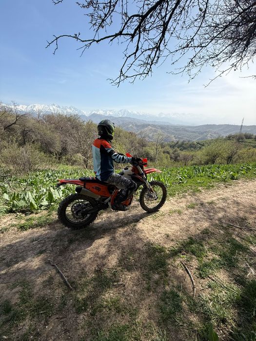 Zuumav k8 2025 года.