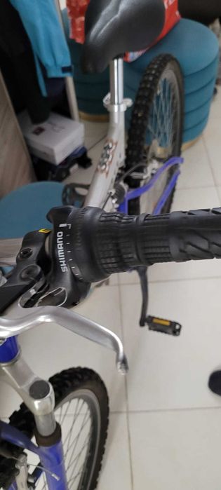 Bicicletă Tennessee Reactor