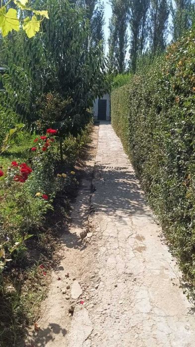 UY sotiladi 10 sotik