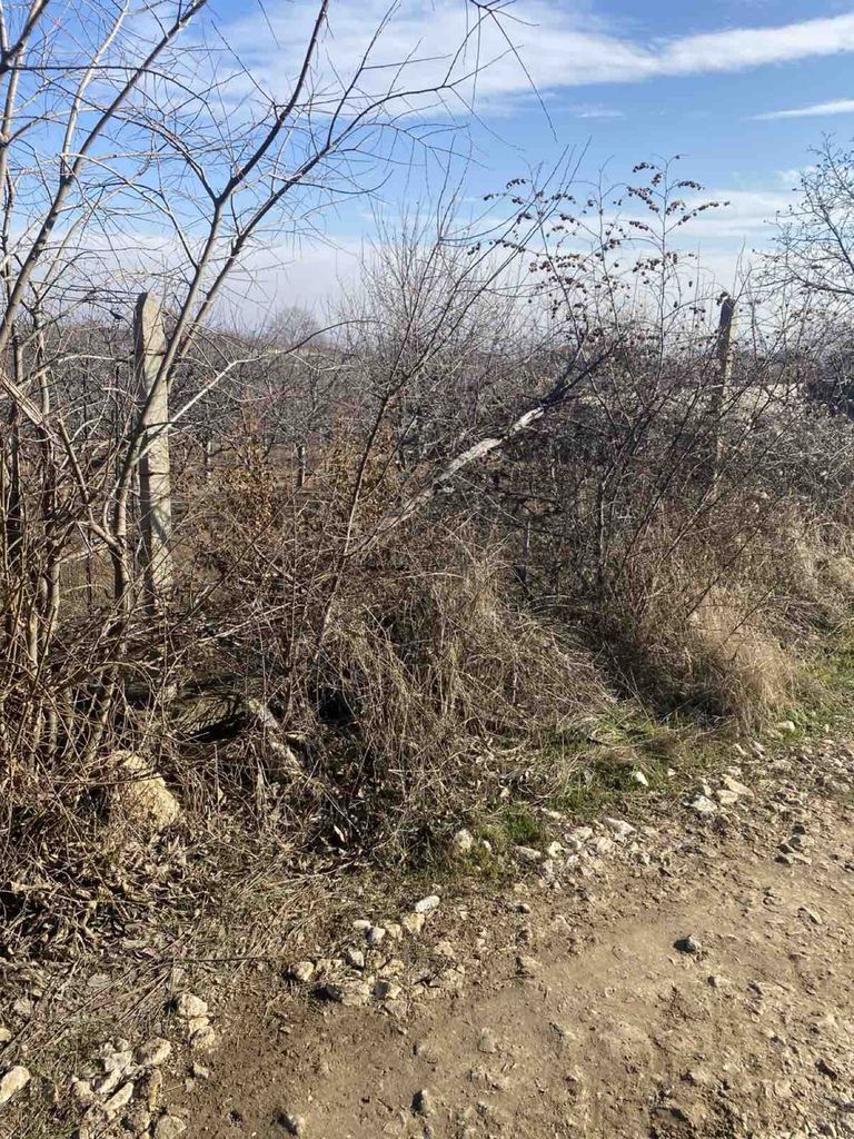 Продава се Земеделски имот в Асеновград -  кв.м за 32640 €/дка - Снимка #3