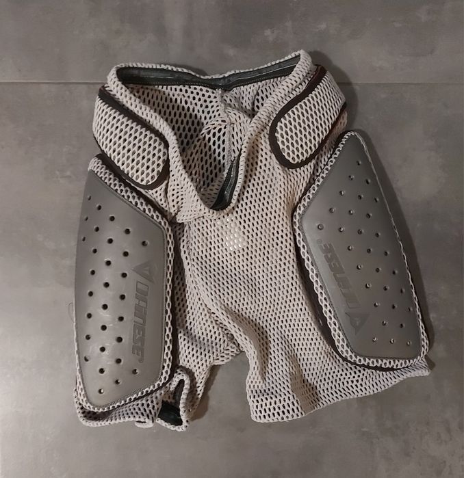 Protectie Dainese pentru spate si fund/ picioare