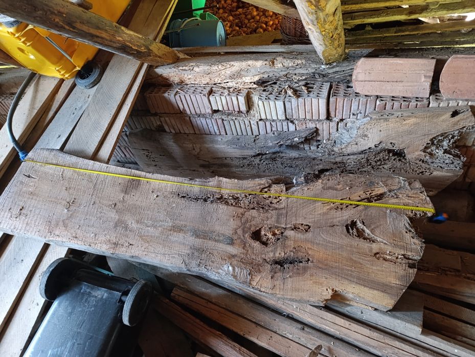 Fostana veche de nuc