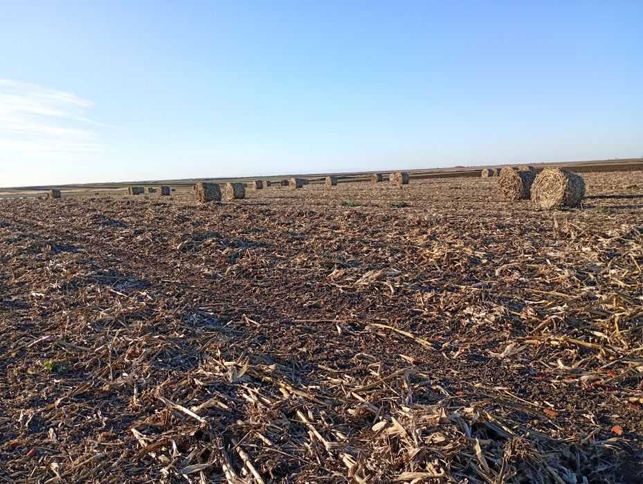 Baloți rotunzi de ciocani