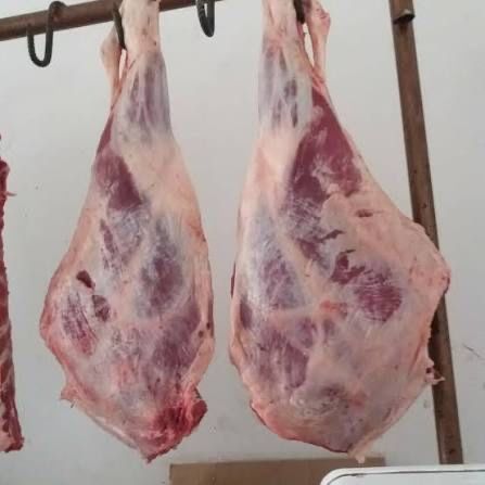 Мясо баранины, говядины и конины. С доставкой. Город Алматы