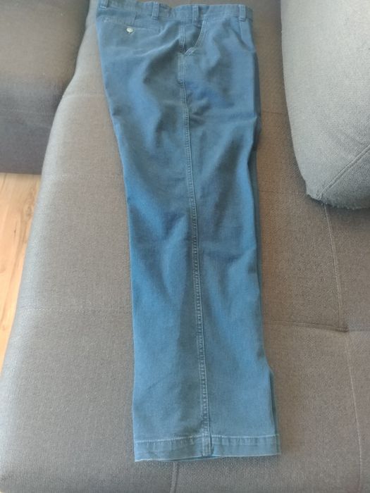 Raiați negri, albastri,închiși și deschisi