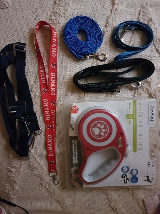 Lesa, accesorii caini si pisici, Noi