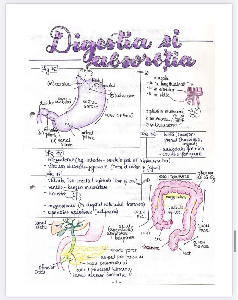 Notițe admitere medicină - biologie