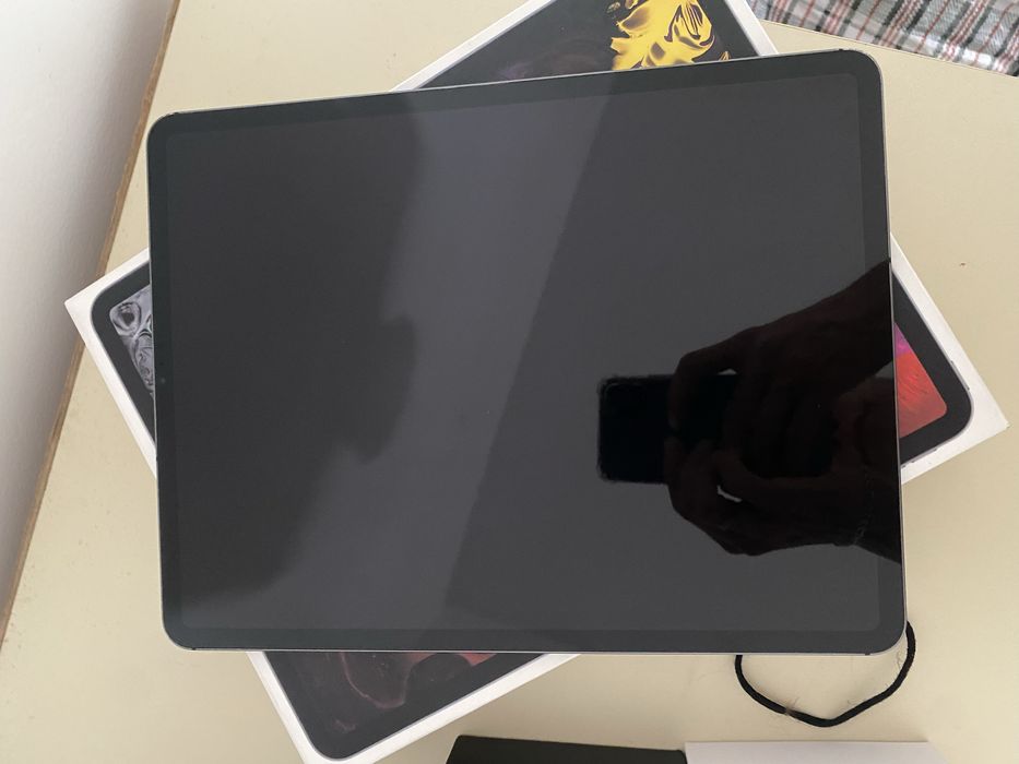 ipad pro 12.9 wi-fi cellular