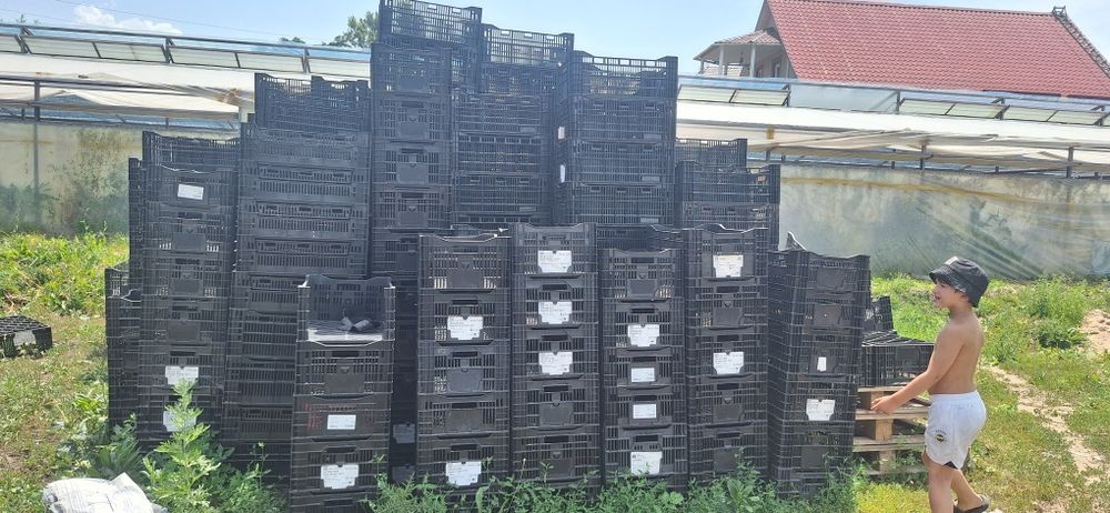 Ящики размер 60×40×23