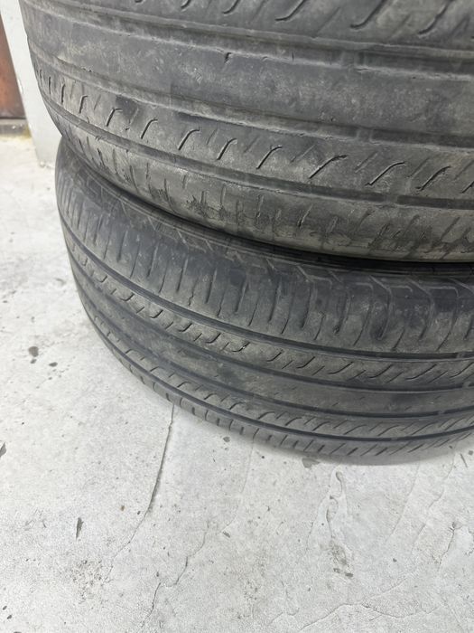 Byd song chempion radnoy balon