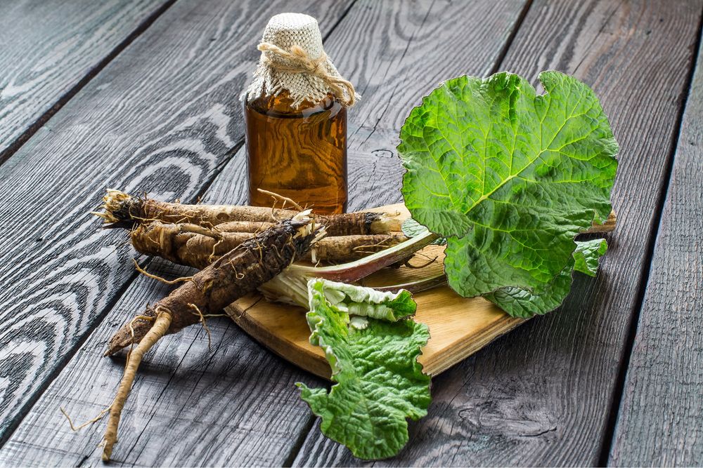 Vand plante medicinale: radacina de brusture, tataneasa, untul pamantu