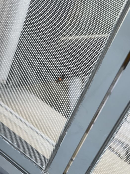 Plase Tantari - Confectionare, Montaj & Reparații | Toate tipurile |