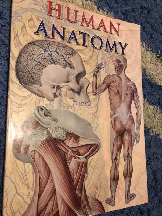 Atlas (Human Anatomy)