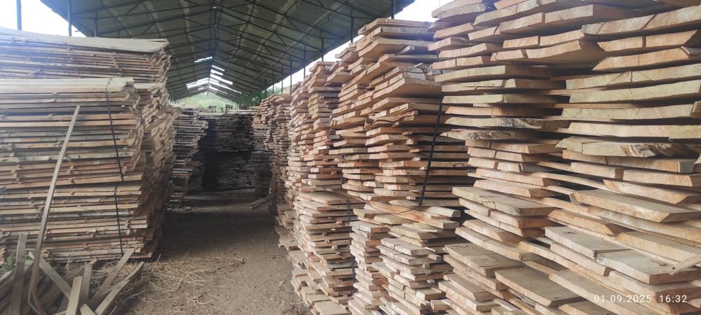 Cherestea netivită fag