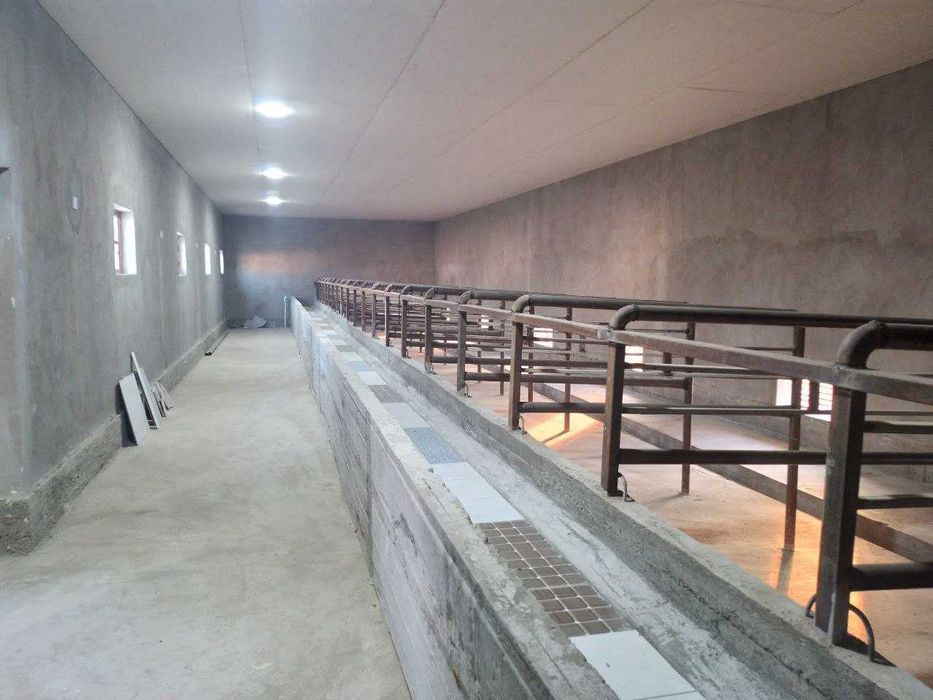 Чорвочилик учунЯнги  Ферма сотилади, 36 сотих