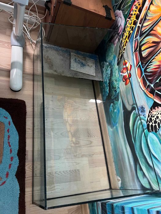 Acvariu broaste testoase (100x50x40cm)