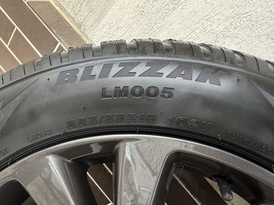 Roti Iarna, Jante Aliaj R18