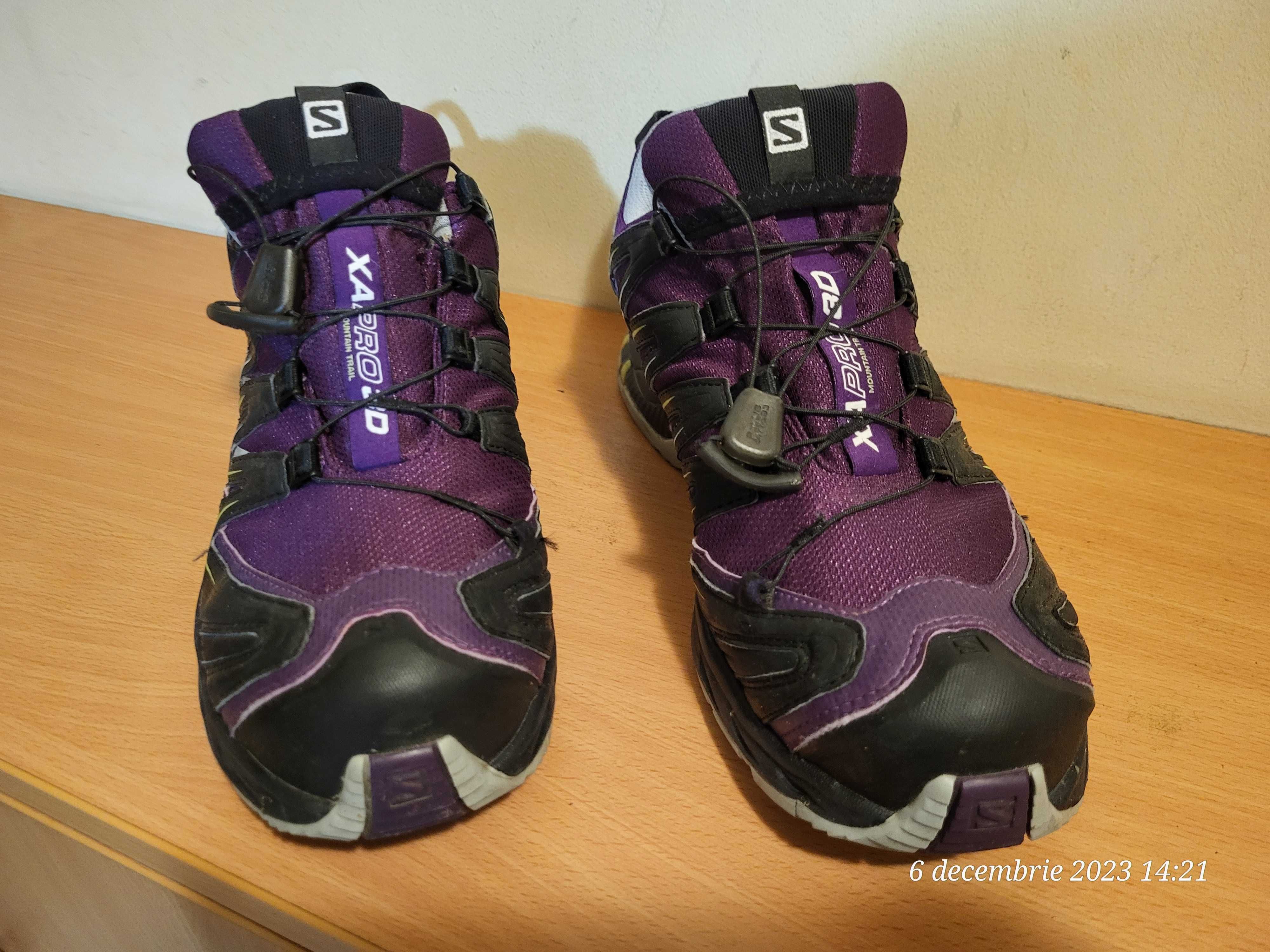 Salomon XA Pro 3D Mountain Trail Gore-Tex