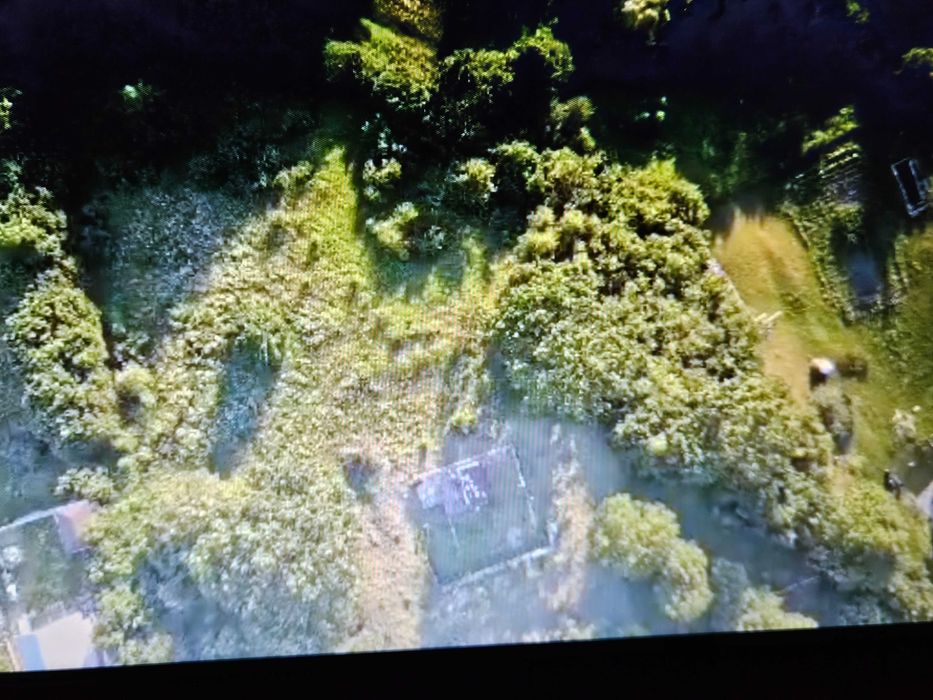 Teren Buhalnița Neamț