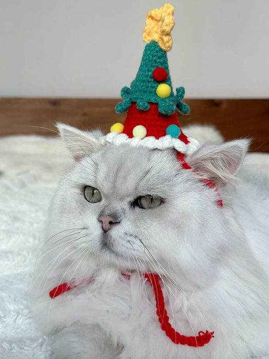 Коледна шапка елха за котка или малко куче – сладък празничен аксесоар