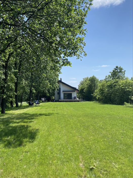 Casa la padure de inchiriat Moara Vlasiei