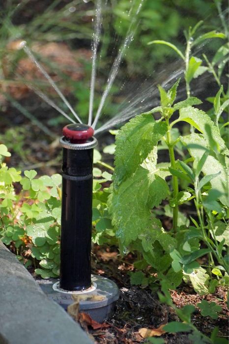 Gazon landshftniy dizayin