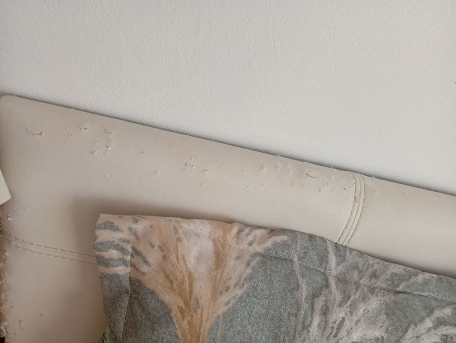 Vând pat și saltea