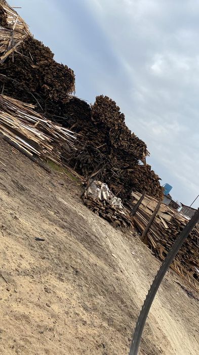 Дрова не пиленные