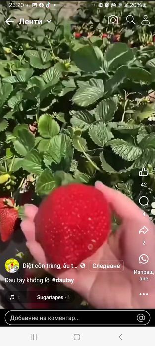 Продавам ягоди   и малини