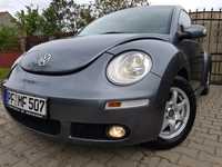 Volkswagen beetle UNITED MODEL-2009-euro4-1.9diesel-105cai-germania-