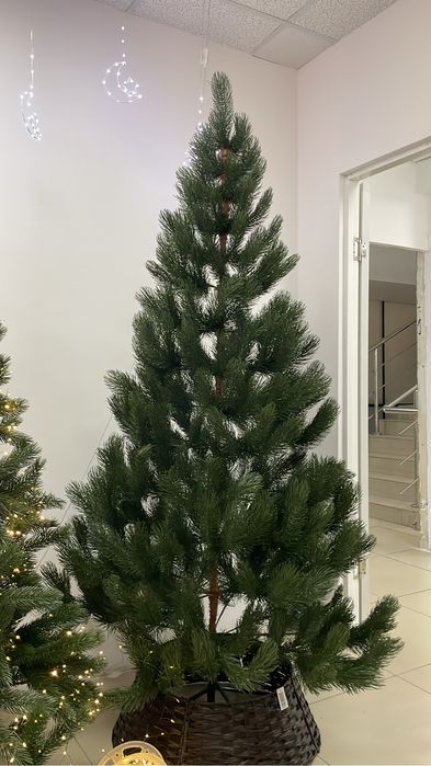 Елочка 180,210 см., новые Дом быта,2 этаж