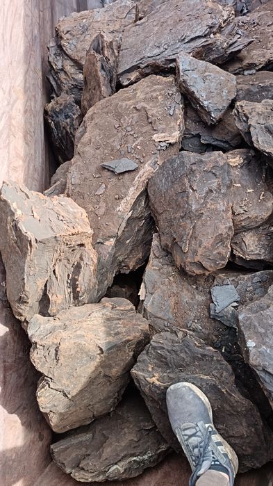 Cărbune lignit bulgari