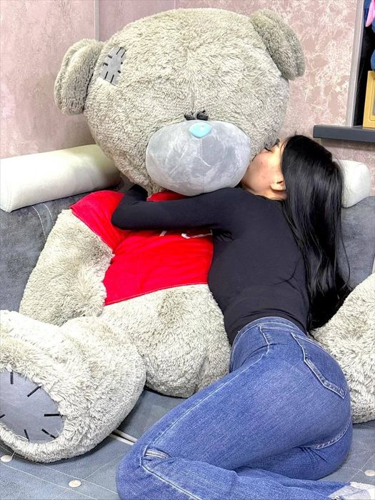 Ayiq teddy eng kottasi