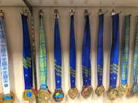 Медали для всех видов спорта в наличии