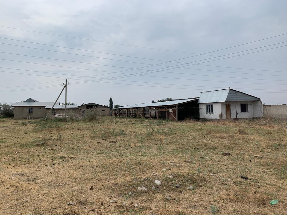 Сдаётся в аренду производственная База откормочная площадка/Фазенда (К