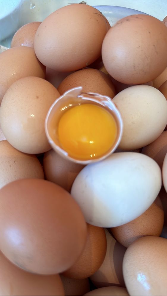 Домашие яйца