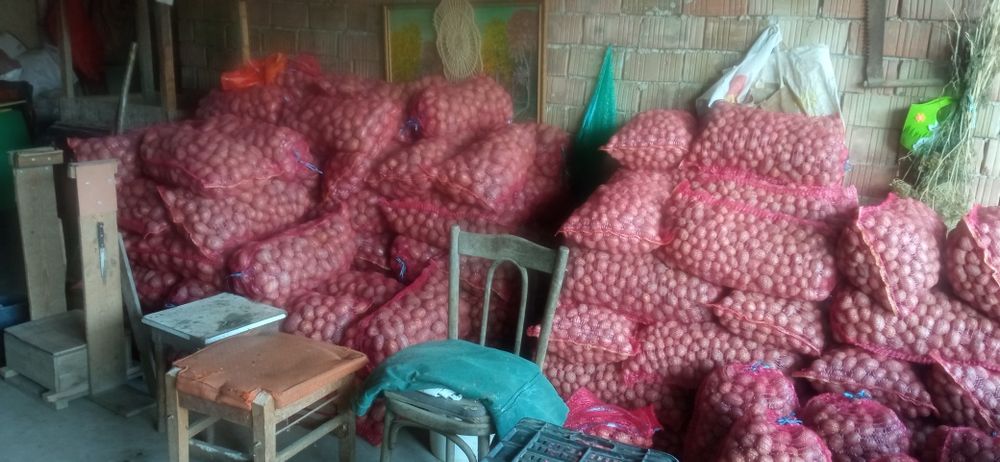 Cartofi pentru consum