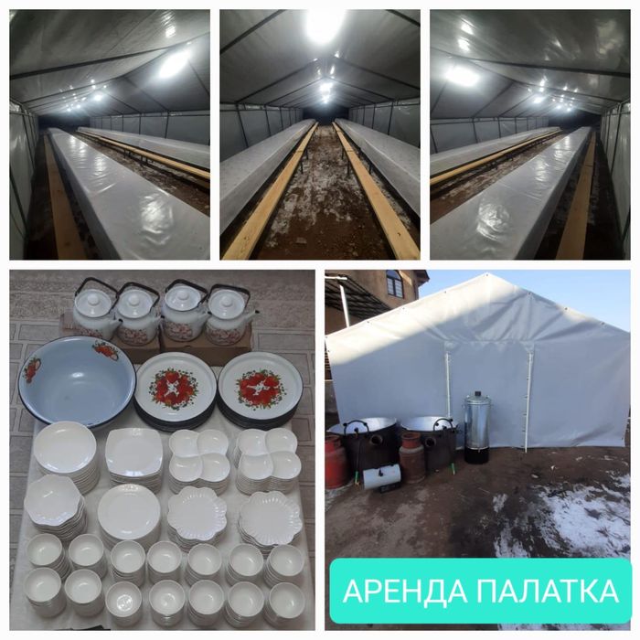 Аренда палатка 24/7 (палатки)