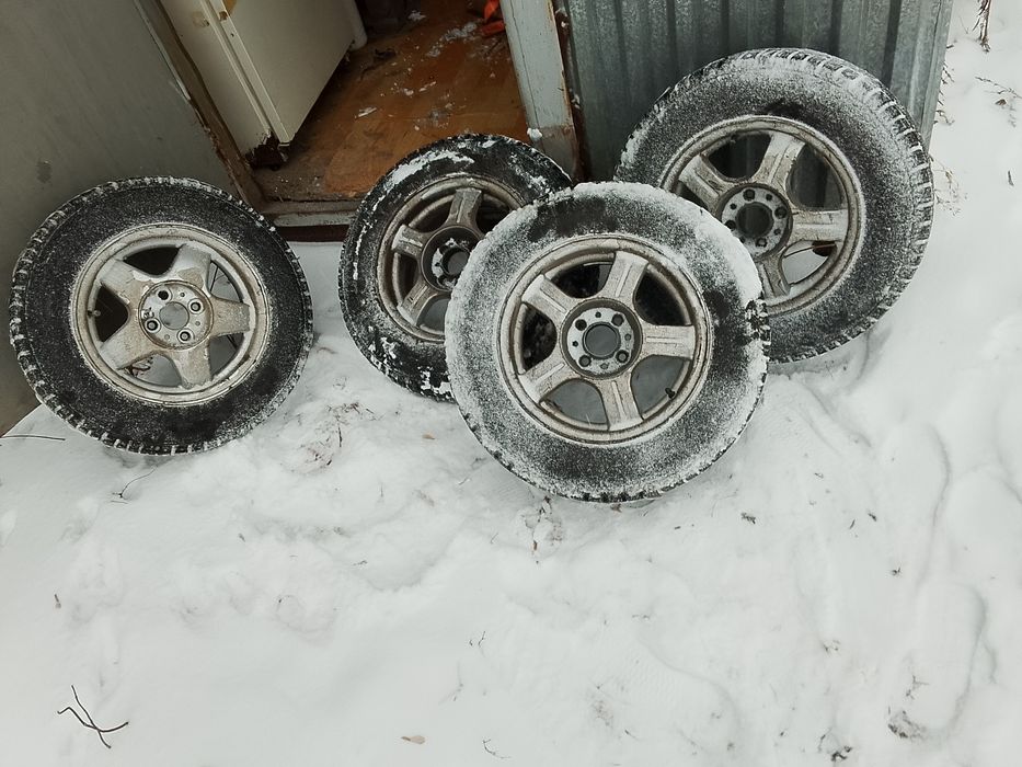 Шина зимний шиповни