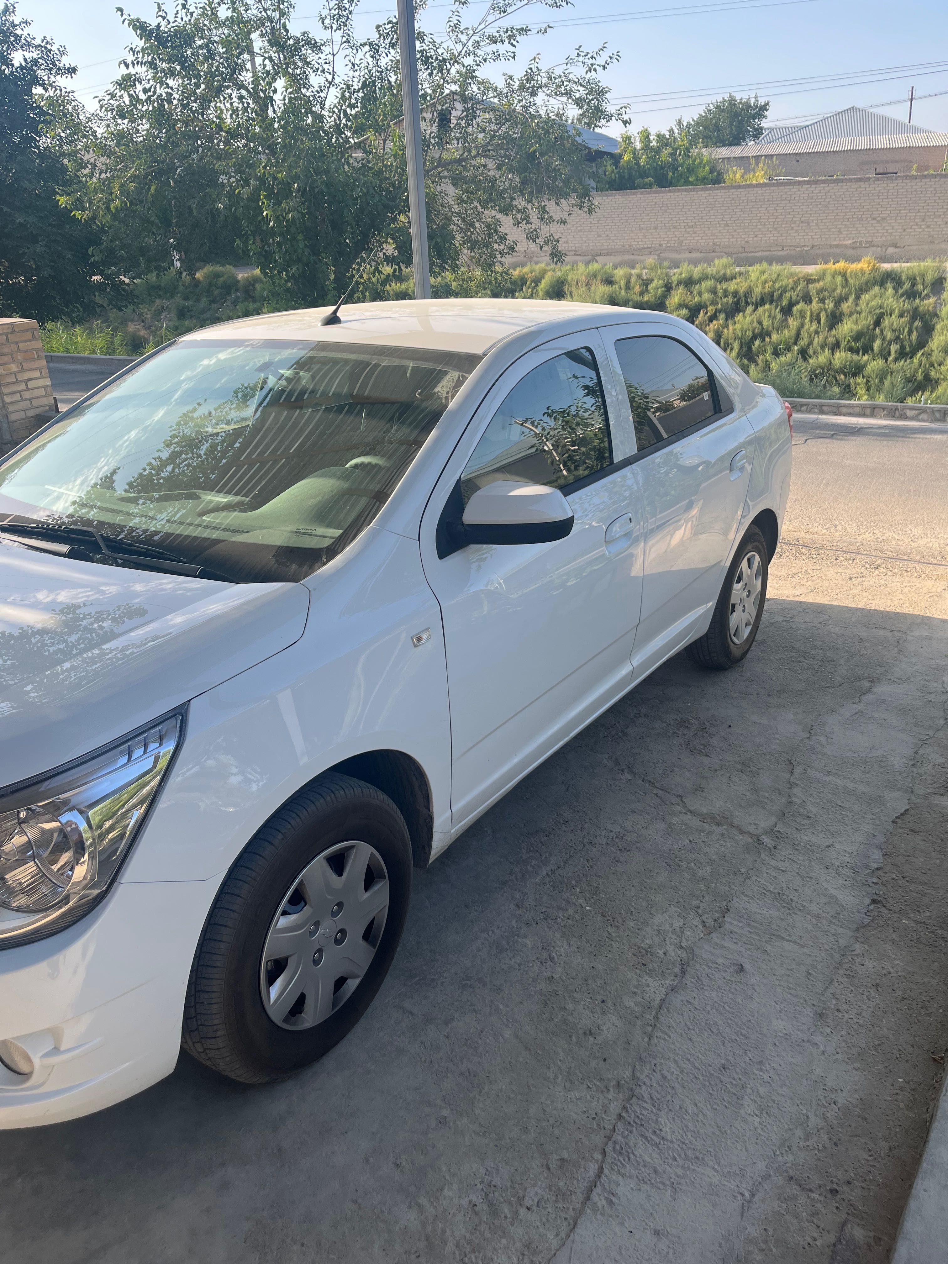 Yangi cobalt salonsan