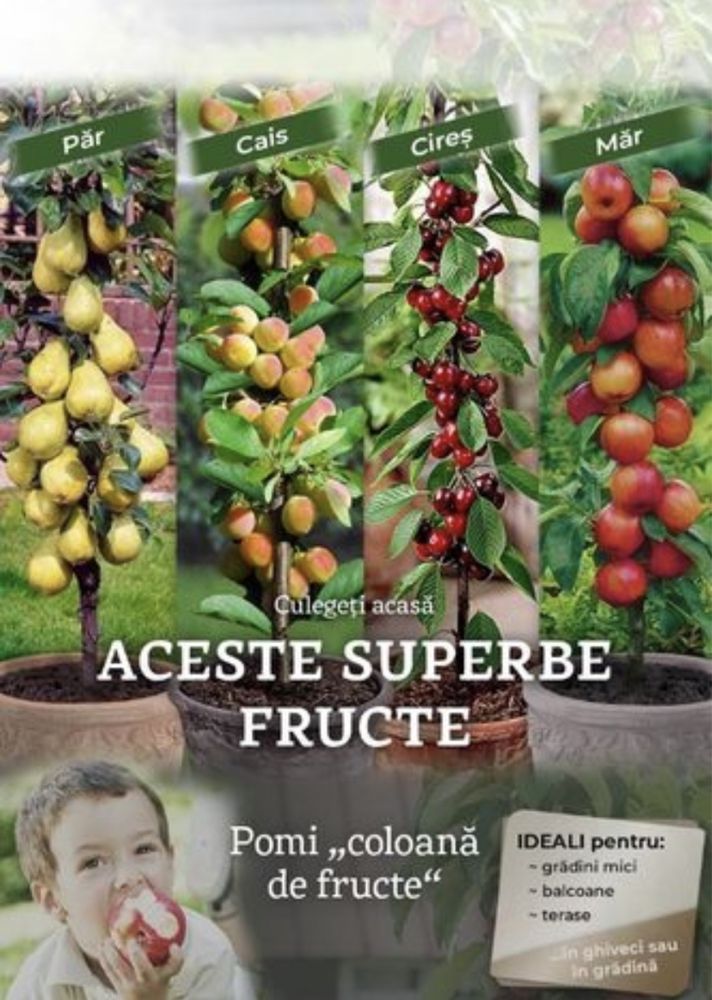 Pomi fructiferi columnari  super