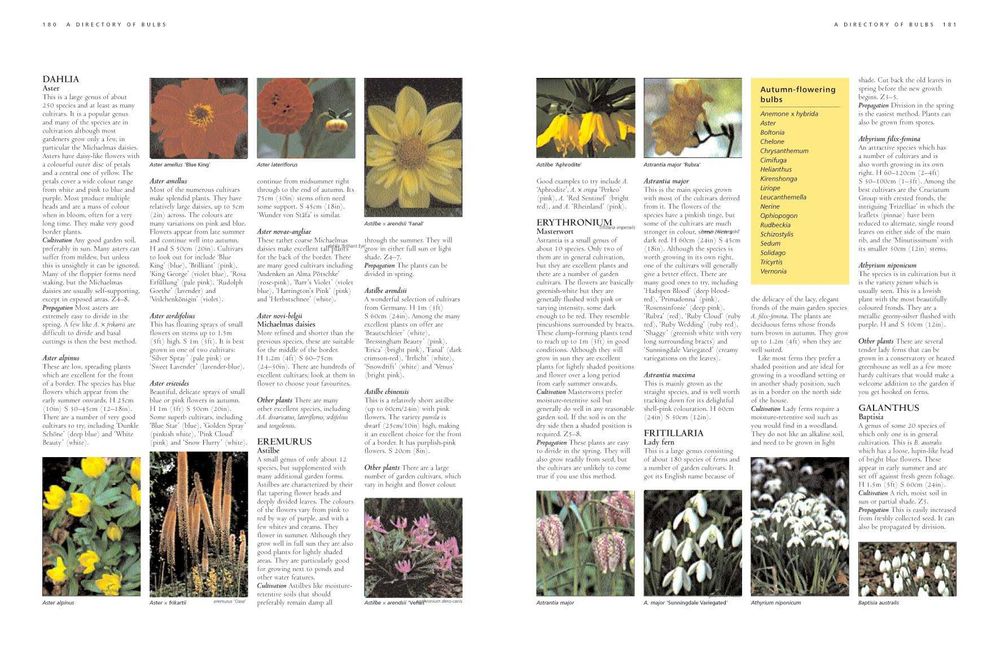 Carte de gradinarit flori peisagistica BULBS plante bulbi lalele