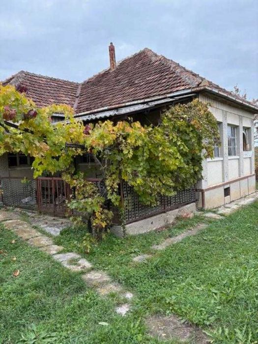 Casa sat Medișa, com. Viile Satu Mare, jud. Satu Mare