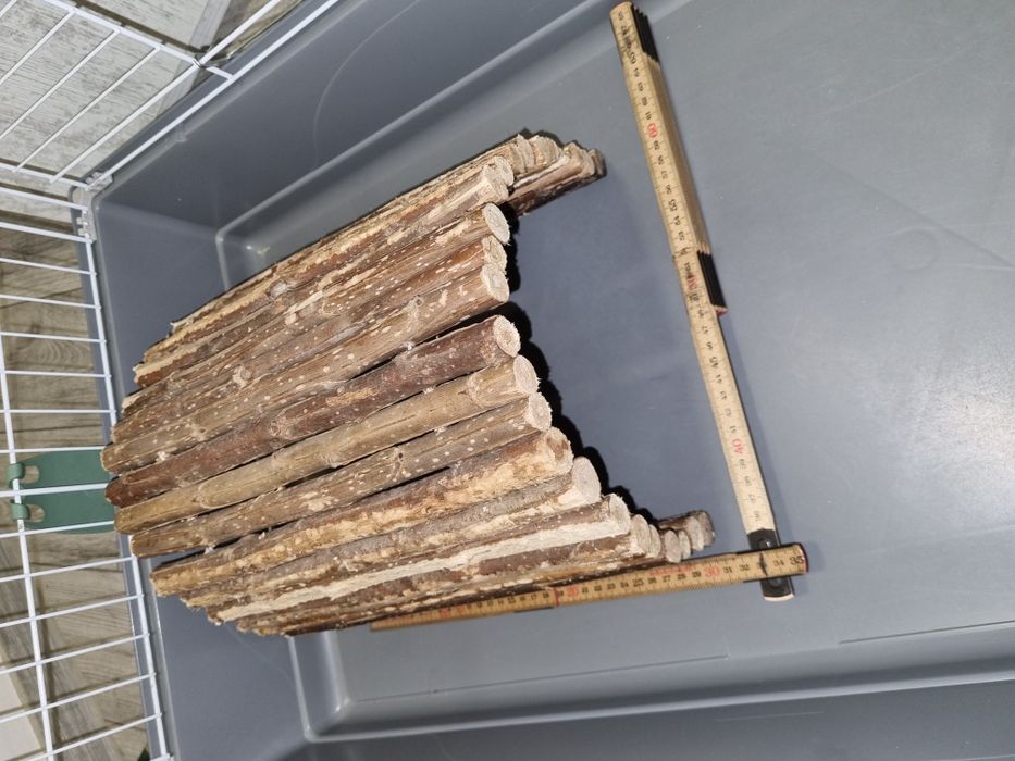 Cusca rozatoare animale companie