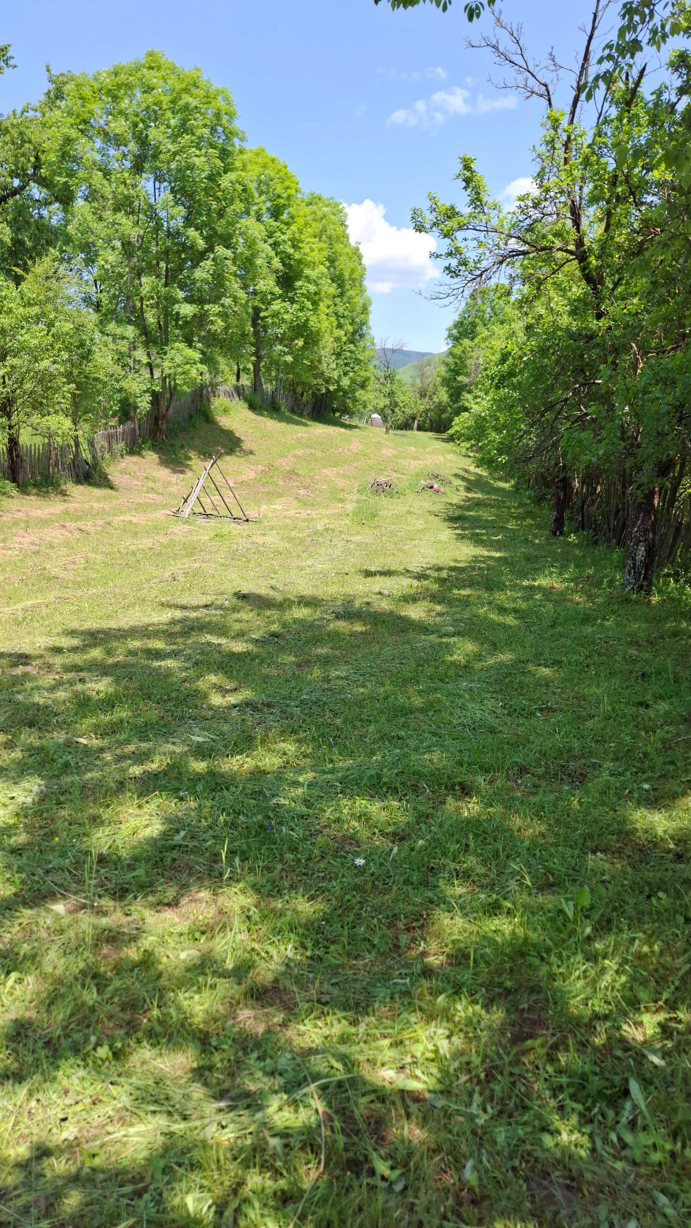 Teren intravilan 2244 m2, in Comuna Valea Doftanei, Sat Tesila