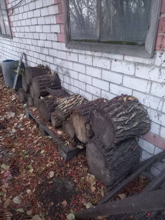 Дрова разные пеньки